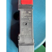 OMRON 欧姆龙 小型电磁锁定安全门开关 D4SL-N4VFA